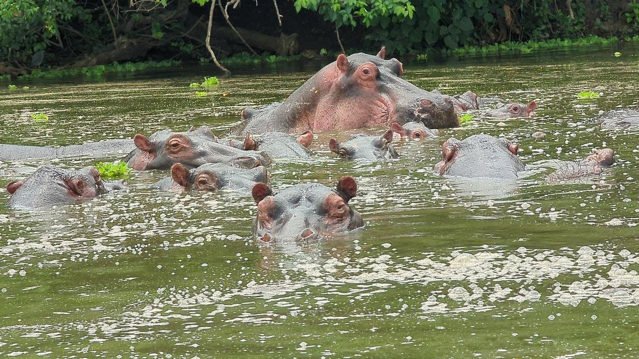 We bring you closer to wildlife