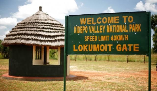 Kidepo Valley & Karamoja 4 Days