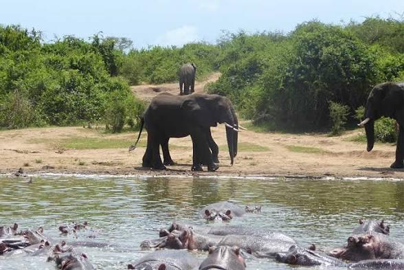 Kazinga Channel cruise